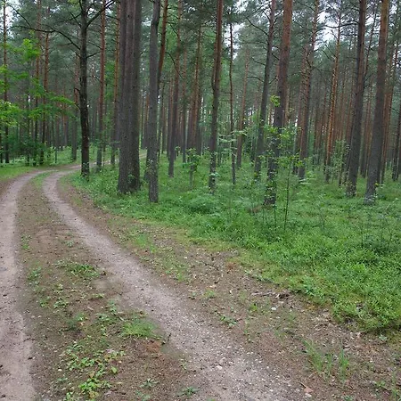 Külalistemaja Liblikaaia *